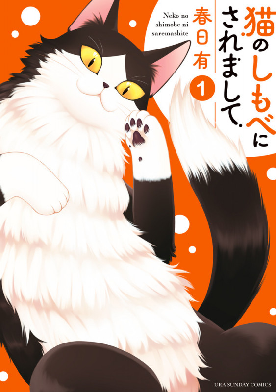 猫のしもべにされまして (1) (裏少年サンデーC)