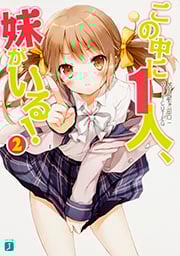 この中に1人、妹がいる! (2) (MF文庫J)
