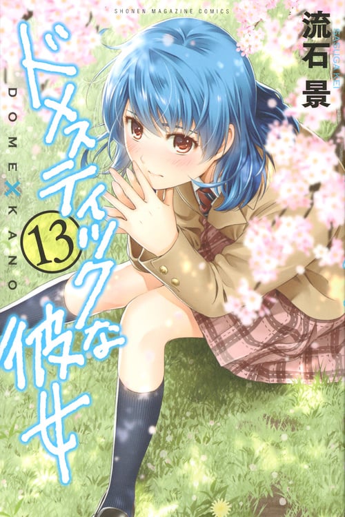 ドメスティックな彼女 (13) (マガジンKC)