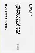 電力の社会史 何が東京電力を生んだのか (朝日選書 898)