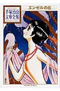 エンゼルの丘 (手塚治虫文庫全集)の詳細を見る