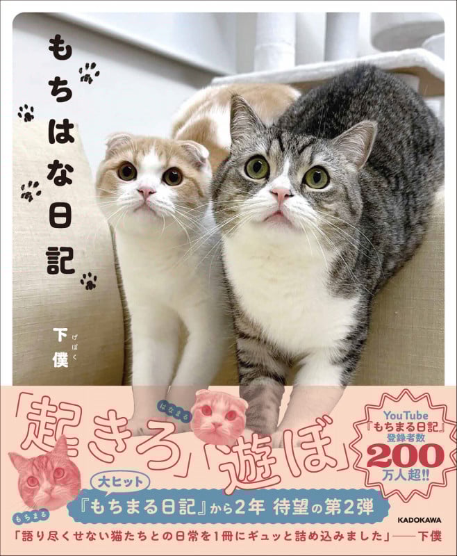 もちはな日記の詳細を見る