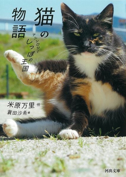 猫の物語 アンソロジーしっぽの王国 (河出文庫)