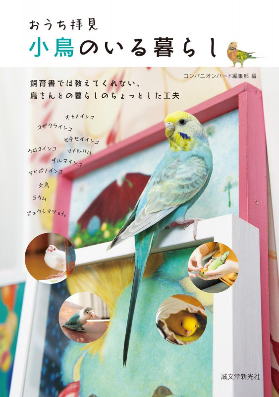 おうち拝見 小鳥のいる暮らし 飼育書では教えてくれない、鳥さんとの暮らしのちょっとした工夫の詳細を見る
