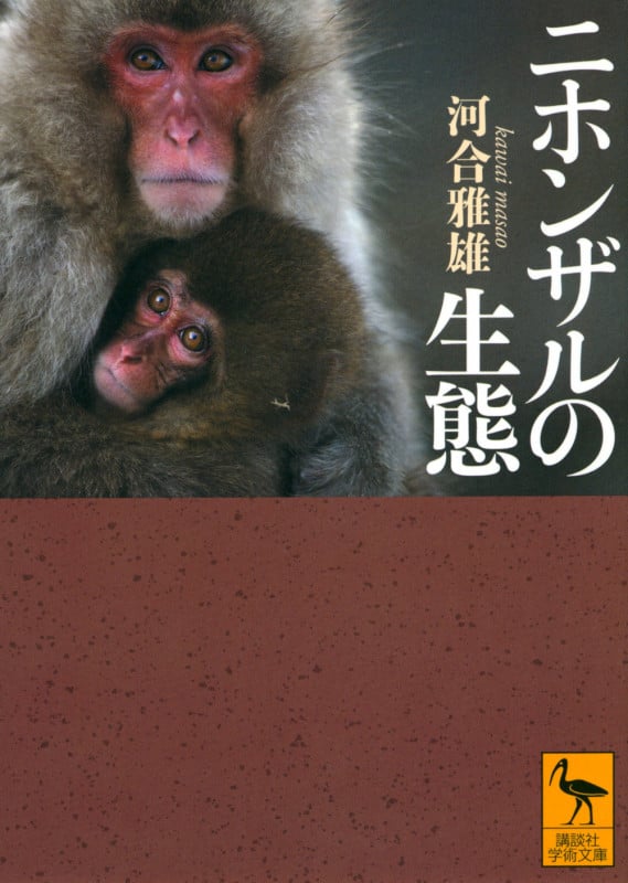 ニホンザルの生態 (講談社学術文庫 2698)