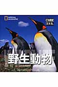 野生動物