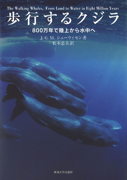 歩行するクジラ