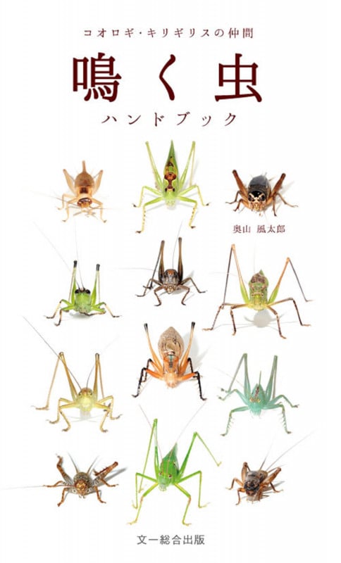 鳴く虫ハンドブック コオロギ・キリギリスの仲間