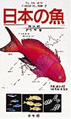 日本の魚 (海水編) (フィールド・ガイド 2)