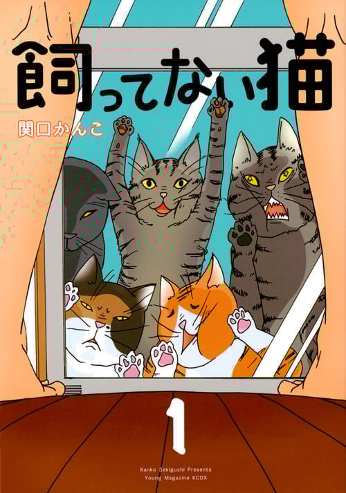 飼ってない猫(1) (KCデラックス)