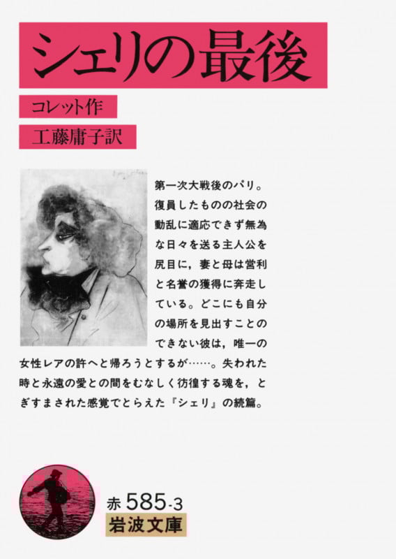 シェリの最後 (岩波文庫)