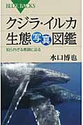 クジラ・イルカ生態写真図鑑