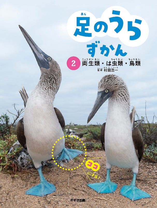 足のうらずかん 両生類・は虫類・鳥類 (2)