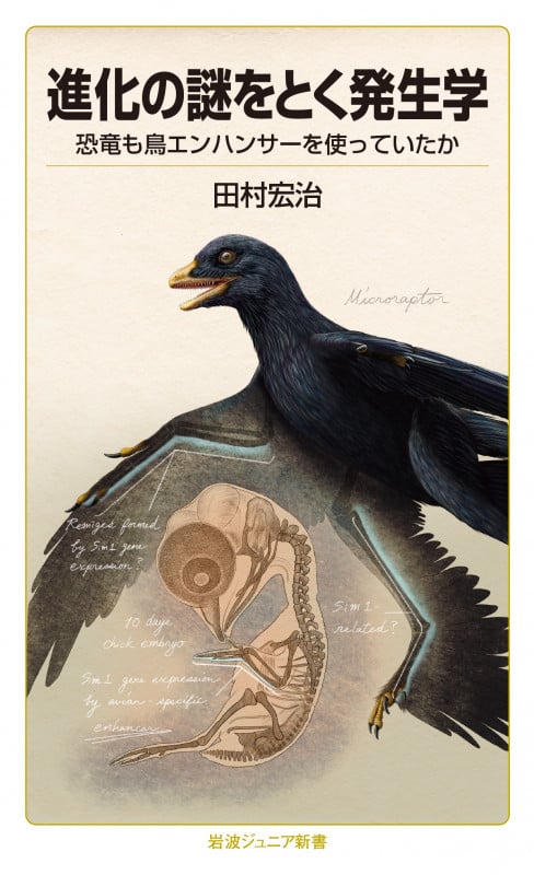 進化の謎をとく発生学 恐竜も鳥エンハンサーを使っていたか (岩波ジュニア新書 949)の詳細を見る