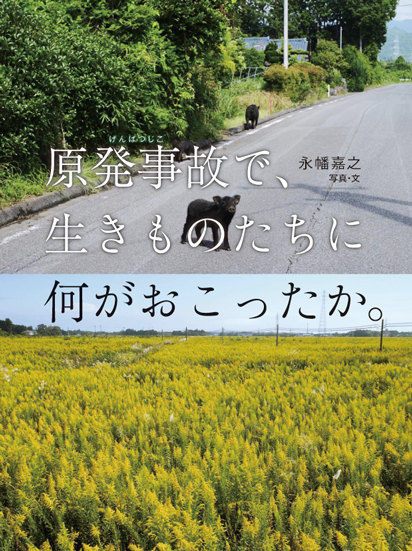 原発事故で、生きものたちに何がおこったか。