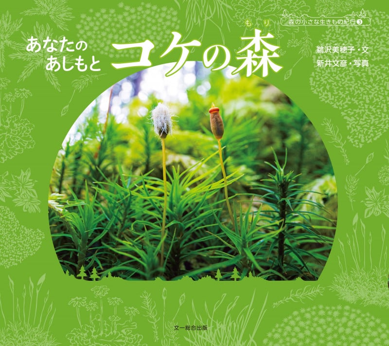 あなたのあしもとコケの森 (森の小さな生きもの紀行 3)