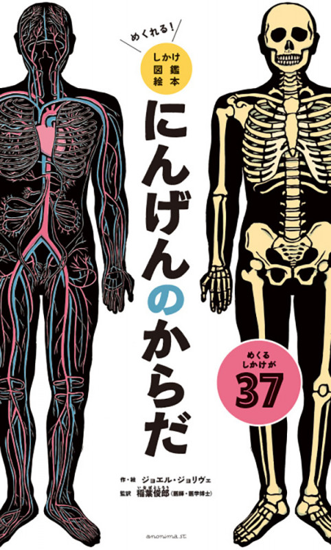 めくれる!しかけ図鑑絵本 にんげんのからだ