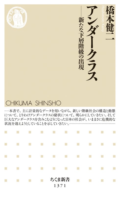 アンダークラス 新たな下層階級の出現 (ちくま新書 1371)