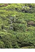 明治神宮 祈りの杜