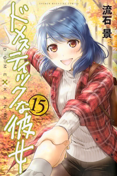 ドメスティックな彼女(15) (講談社コミックス)