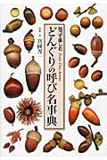 どんぐりの呼び名事典