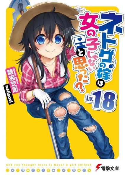 ネトゲの嫁は女の子じゃないと思った? Lv.18 (電撃文庫)