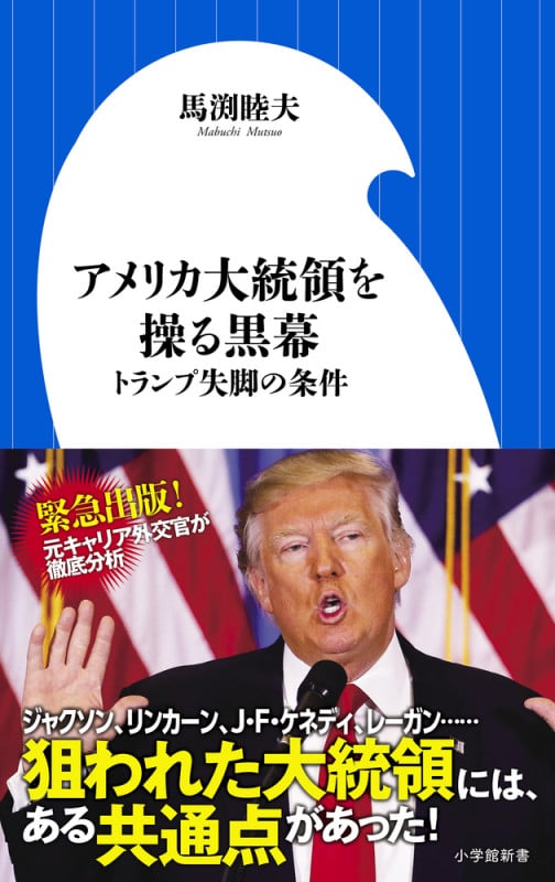 アメリカ大統領を操る黒幕 トランプ失脚の条件 (小学館新書)