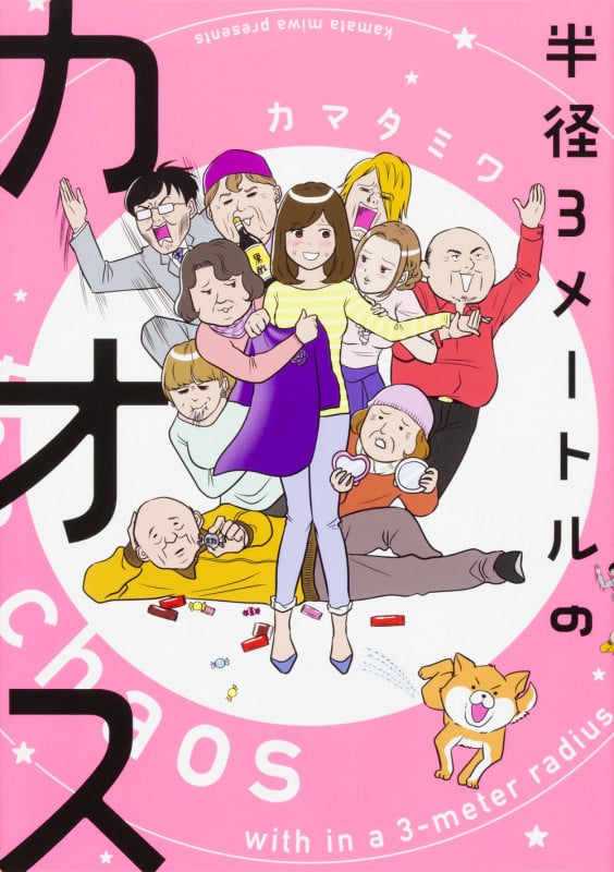 半径3メートルのカオス  