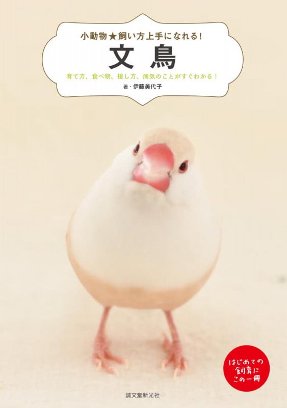 文鳥 育て方、食べ物、接し方、病気のことがすぐわかる! (小動物☆飼い方上手になれる!)