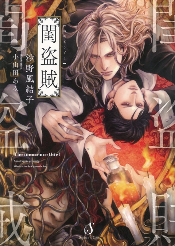 閨盗賊 (Splush文庫)