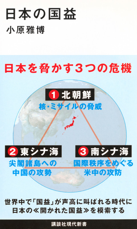 日本の国益 (講談社現代新書)