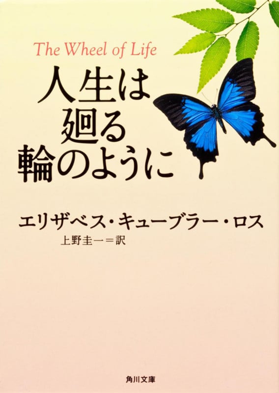 人生は廻る輪のように (角川文庫)