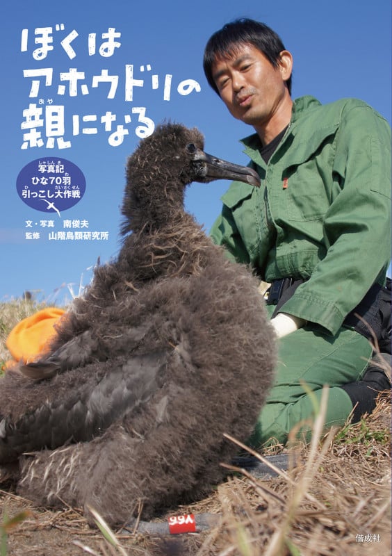 ぼくはアホウドリの親になる 写真記ひな70羽引っこし大作戦