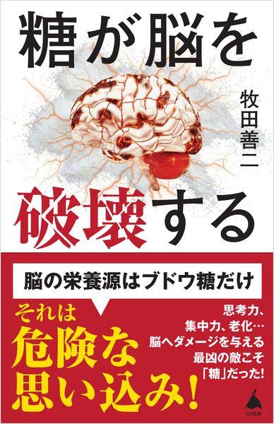 糖が脳を破壊する (SB新書)