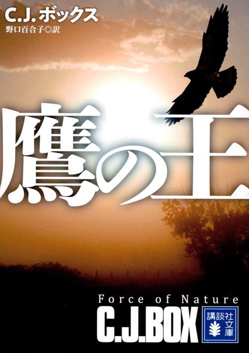 鷹の王 (講談社文庫)