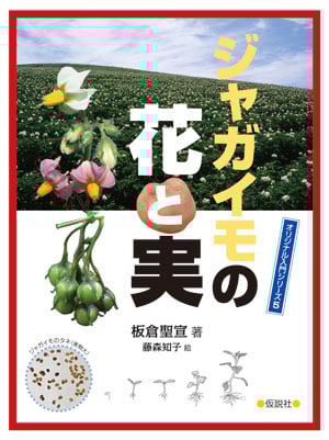 ジャガイモの花と実 (オリジナル入門シリーズ 5)
