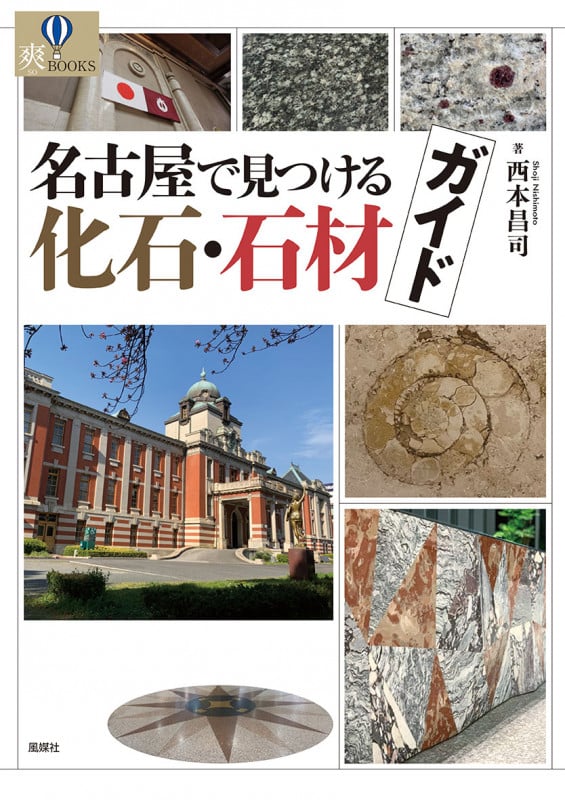 名古屋で見つける化石・石材ガイド