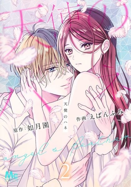 天使のハネ 2 (マーガレットコミックス)