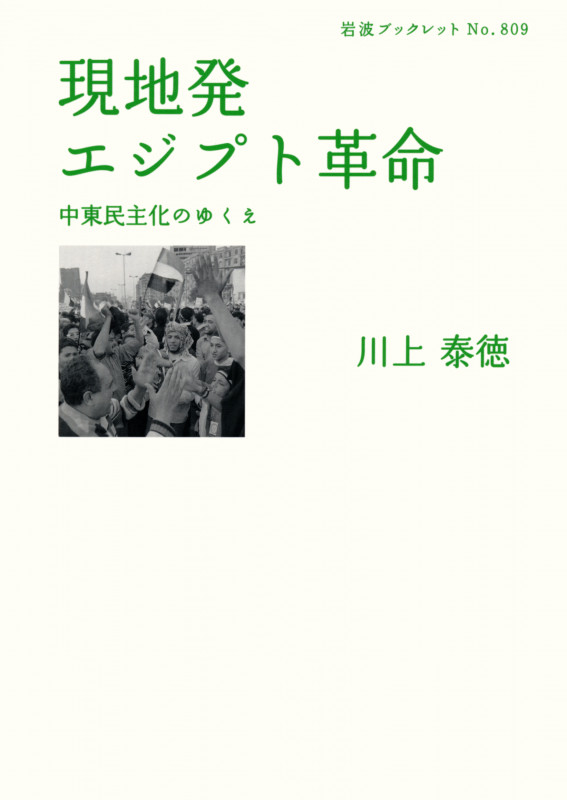 現地発 エジプト革命 中東民主化のゆくえ (岩波ブックレット 809)の詳細を見る