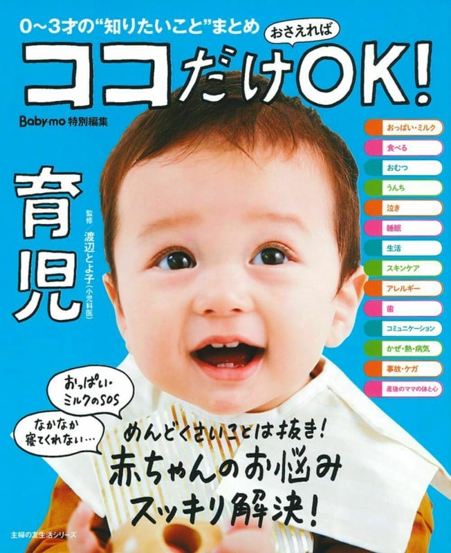 ココだけおさえればOK!育児 (主婦の友生活シリーズ)