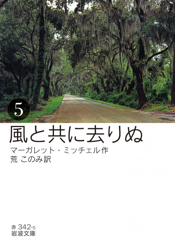 風と共に去りぬ 5 (岩波文庫 赤342-5)