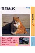 猫様とぼく (シリーズ 岩波フォト絵本)の詳細を見る
