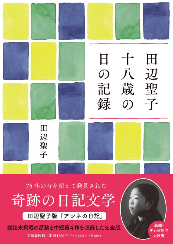 田辺聖子 十八歳の日の記録の詳細を見る