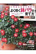 いちばんわかりやすいよく咲く鉢バラの育て方 (主婦の友αブックス)