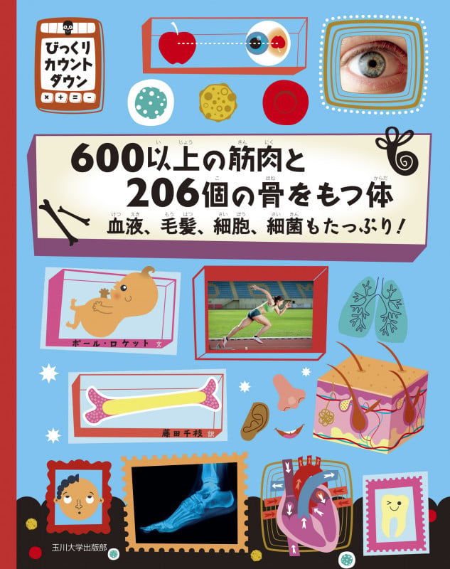 600以上の筋肉と206個の骨をもつ体 血液、毛髪、細胞、細菌もたっぷり! (びっくりカウントダウン)