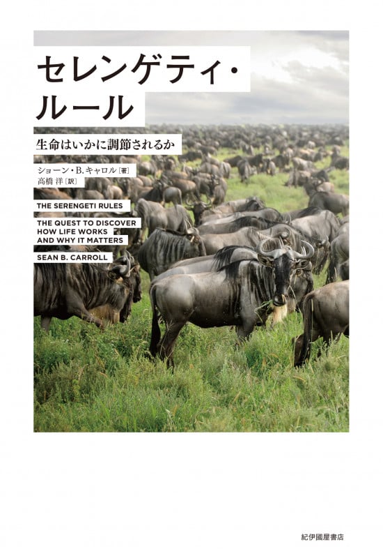 セレンゲティ・ルール 生命はいかに調節されるか