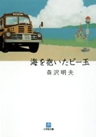 海を抱いたビー玉 (小学館文庫)