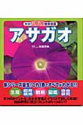 アサガオ (学研わくわく観察図鑑)
