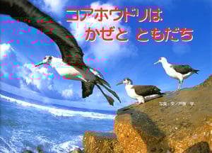 コアホウドリはかぜとともだち (親と子の写真絵本 9)