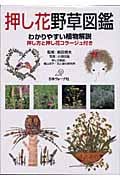 押し花野草図鑑 わかりやすい植物解説